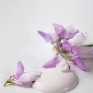 Kalkkimaali Baby Rose Vintage Paint
