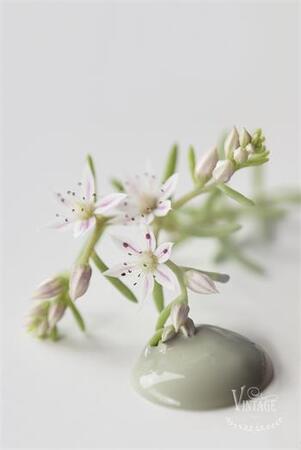Kalkkimaali Moss Green Vintage Paint