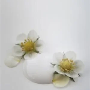 Kalkkimaali Soft Cream Vintage Paint